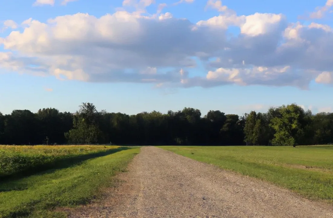 Michigan land offer review for How to Sell Land Without a Realtor in Michigan
