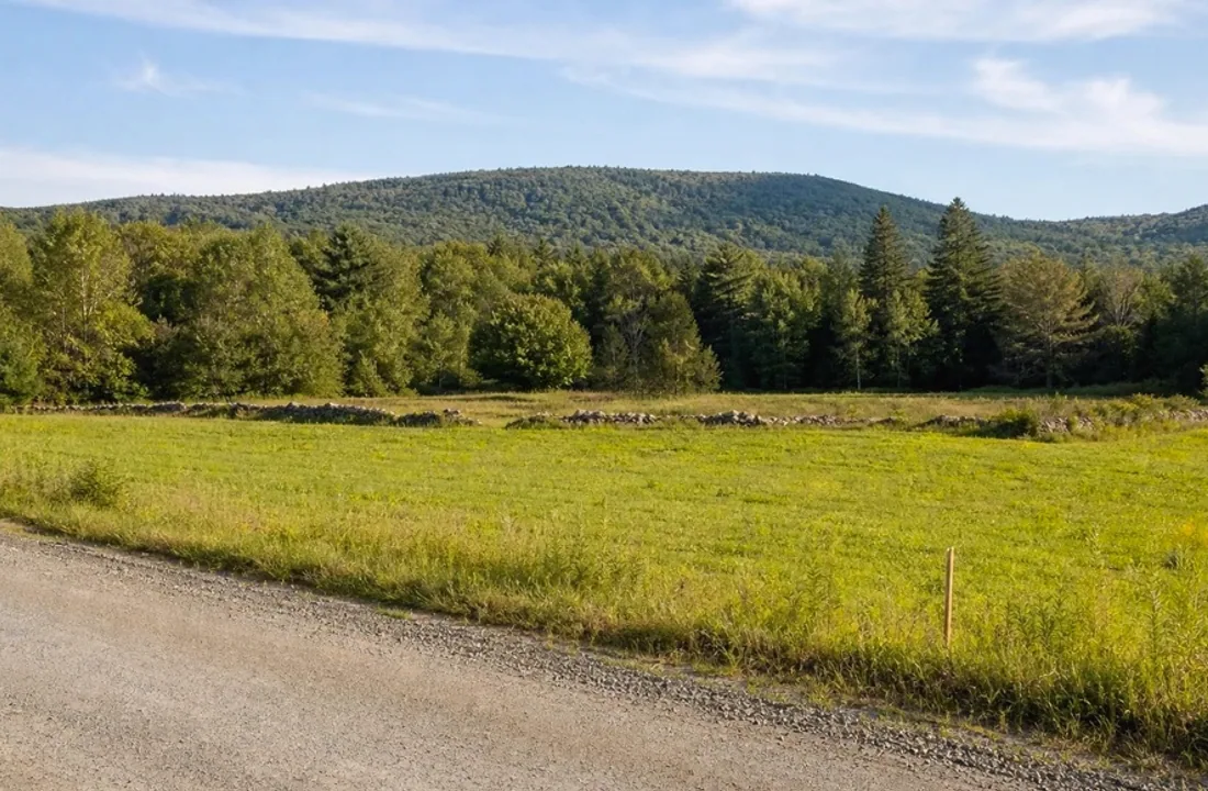 Michigan land offer review for Selling Land to a Developer in Michigan