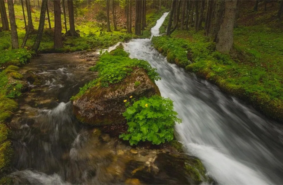 Michigan land offer review for Tax on Selling Land in Michigan