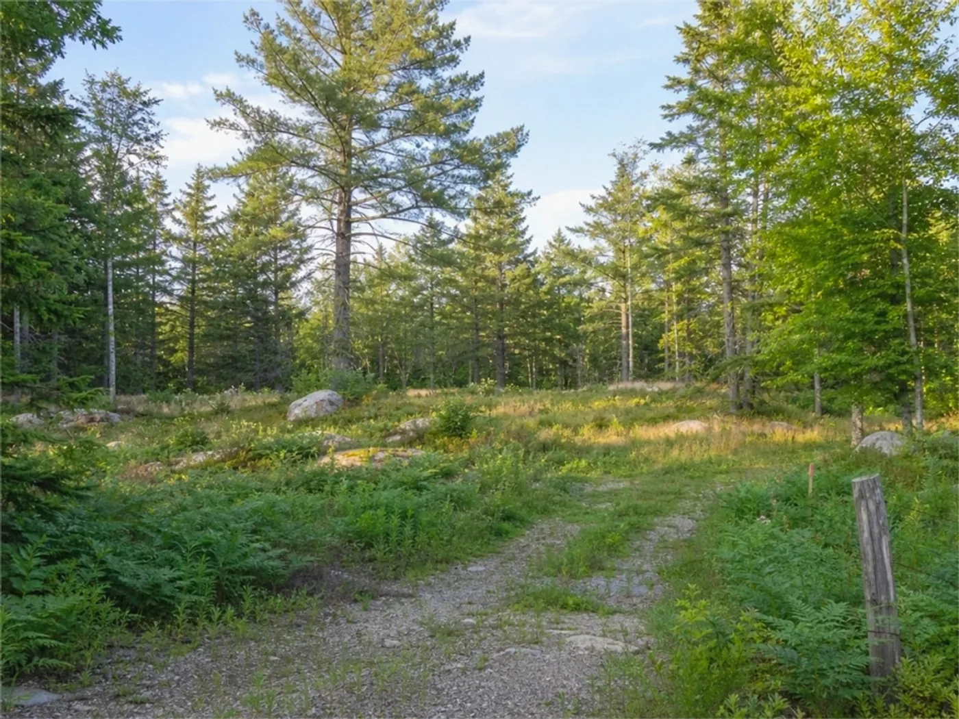 Rural Access Parcels in Hart