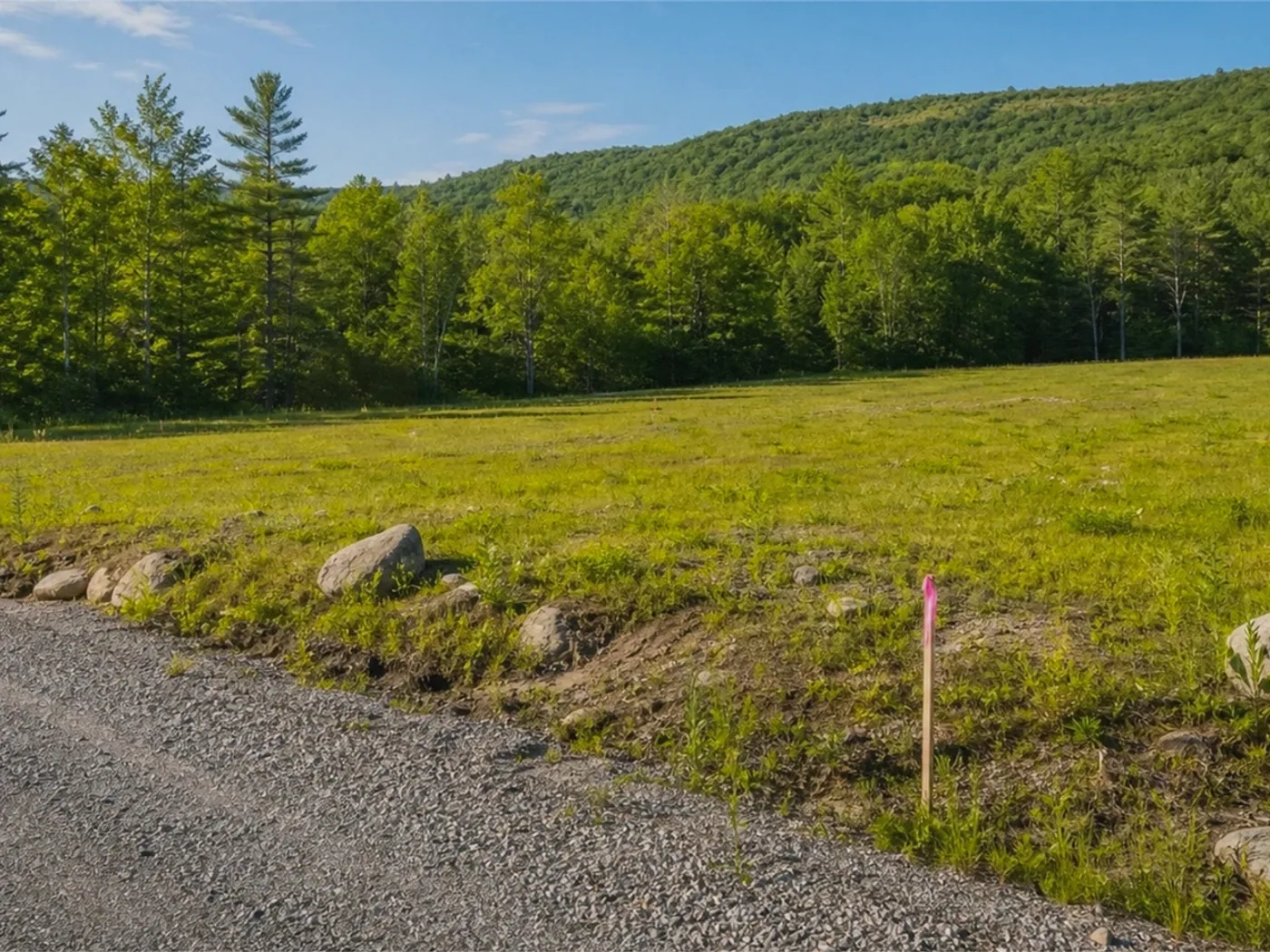 Vacant Lots in Hart